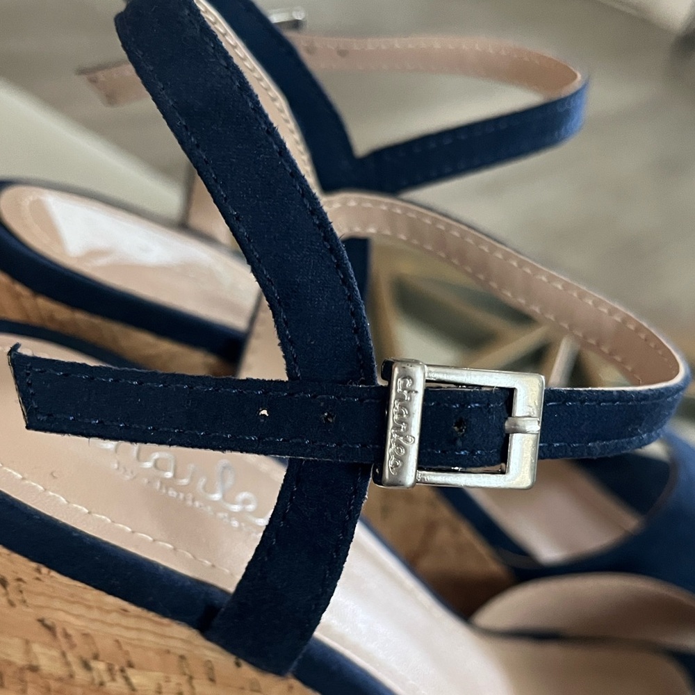 Charles by Charles David Navy Wedge Sandals - Picture 5 of 14